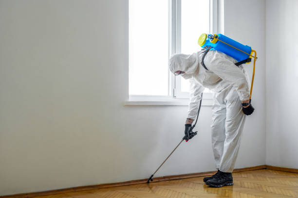 Best Best Pest Control Companies  in Brentwood, CA