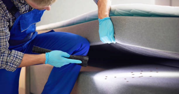 Pest Prevention Services in Brentwood, CA